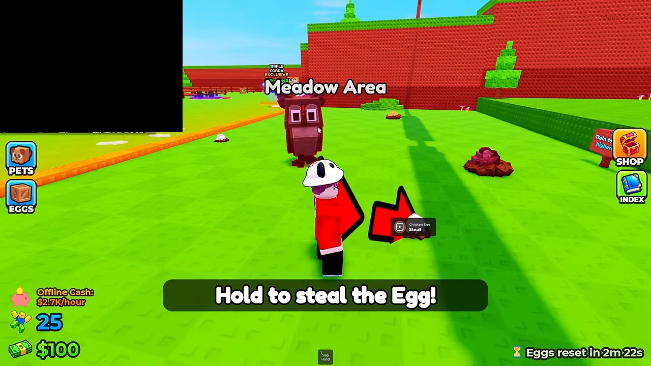 Meadow Area with Chicken Egg Steal prompt and Eggs reset timer